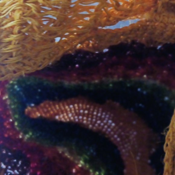 Multicolor Handcrafted Women's Bag, like new, gently used. - Picture 5 of 5